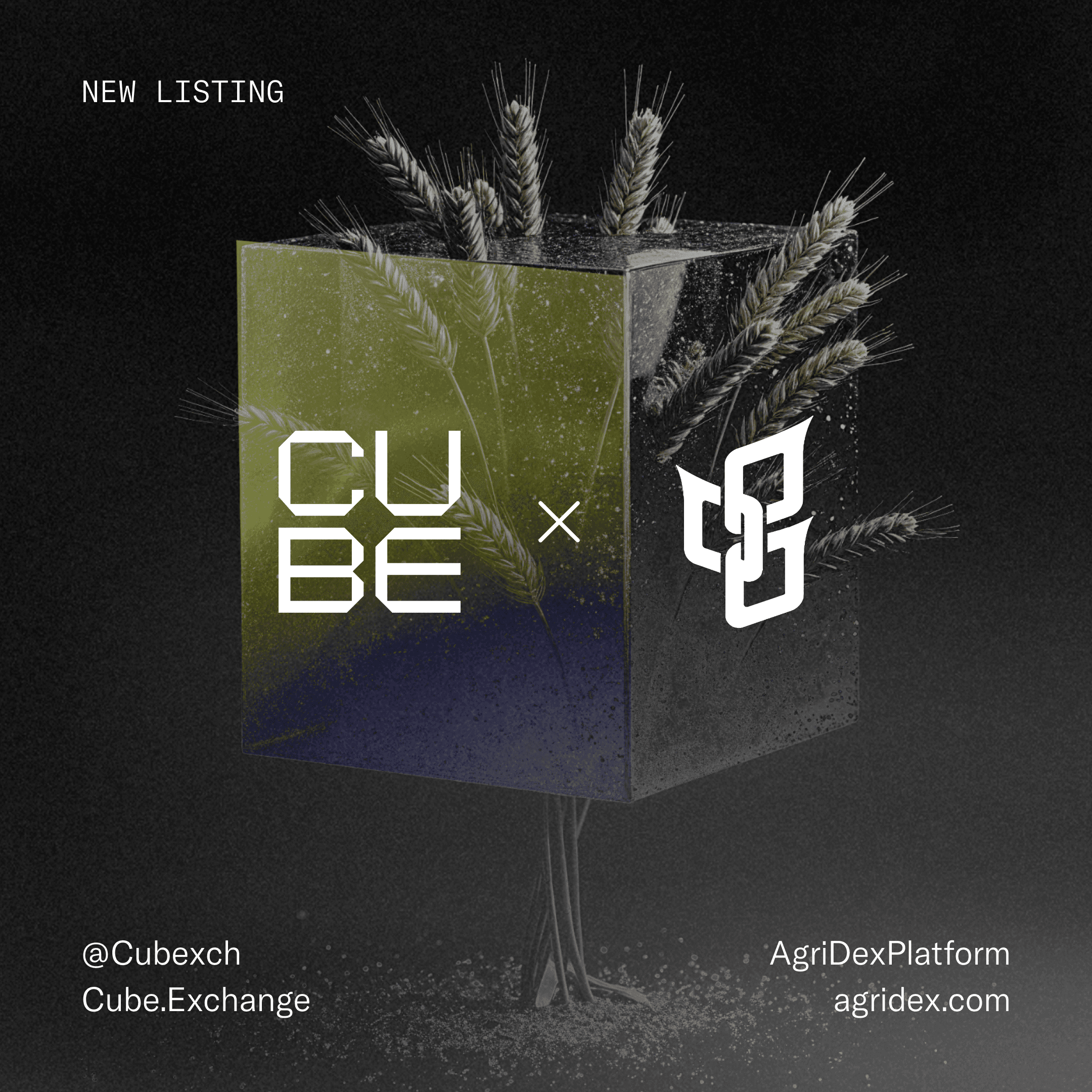 Cube x AGRI Rewards Campaign Cube x AGRI Rewards Campaign